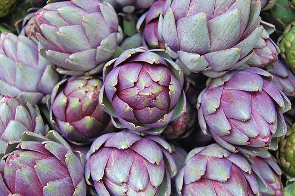 Artichokes