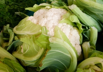 Cauliflowers