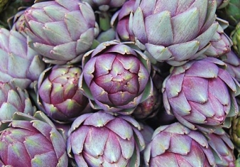 Artichokes