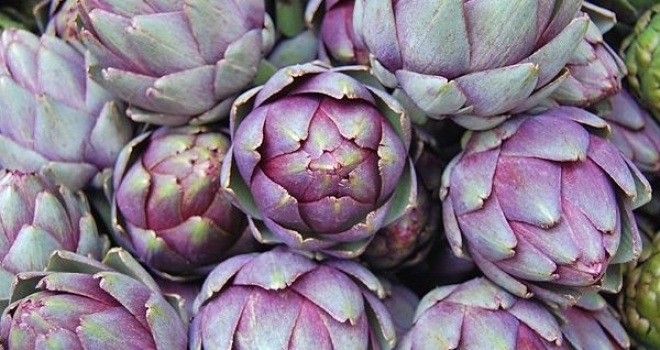 Artichokes