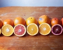 Citrus