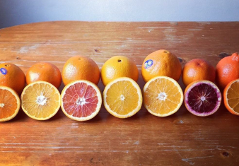 Citrus
