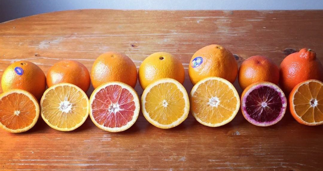 Citrus