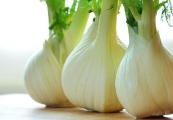 Fennel