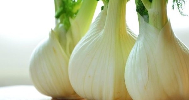 Fennel