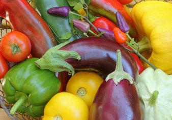 Eggplants and Peppers